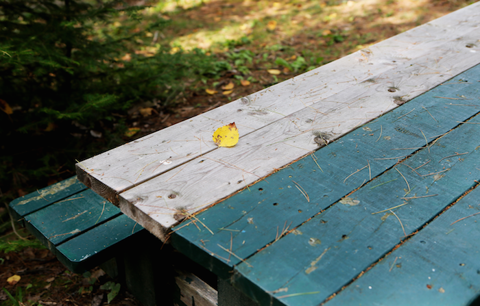 picnic table at a park