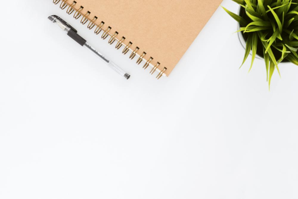 photo of a bird's eye view one thirds of a notebook and half of a potted plant on top of a white desk