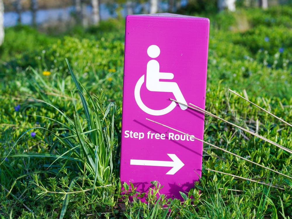 a bright pink disability sign in a patch of grass. the sign reads "step free route" and has an arrow pointing to the right below the text